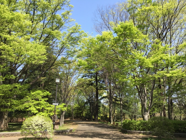 播磨中央公園のおすすめゾーンは？自転車コースと注意点も紹介！